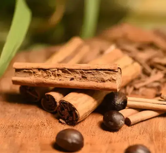 True Ceylon cinnamon 1