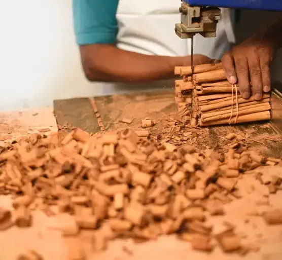True Ceylon cinnamon 5